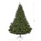 8ft. Pre-Lit Northern Rocky Spruce Artificial Christmas Tree, Clear LED Lights